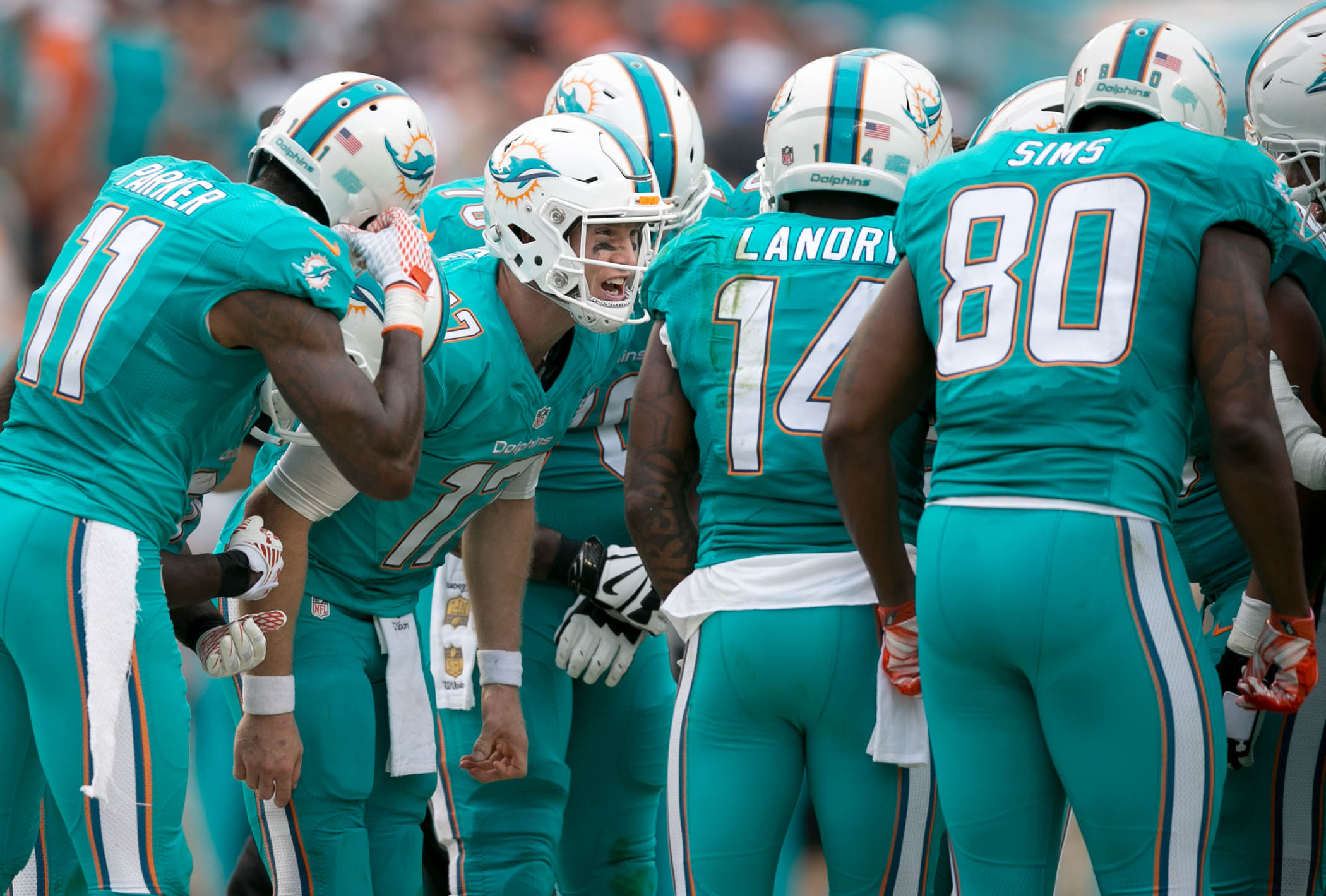 Miami Dolphins vs New England Patriots